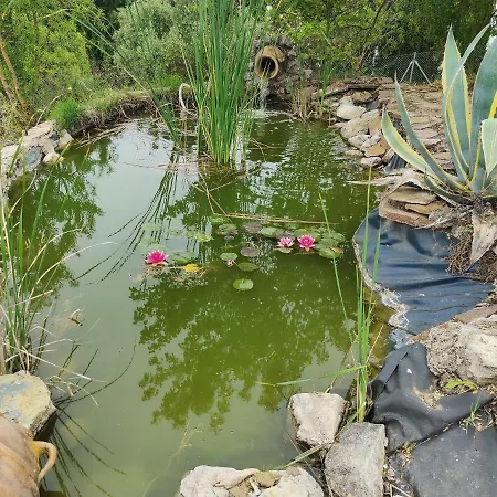 בית נופש Ruhiges Landliches Ferienhaus 6 Personen Privat Pool Wandern El Gollizno Route